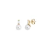 Hot Majorica Earrings Selene Gold Plated With 8Mm White Pearl And Zircons